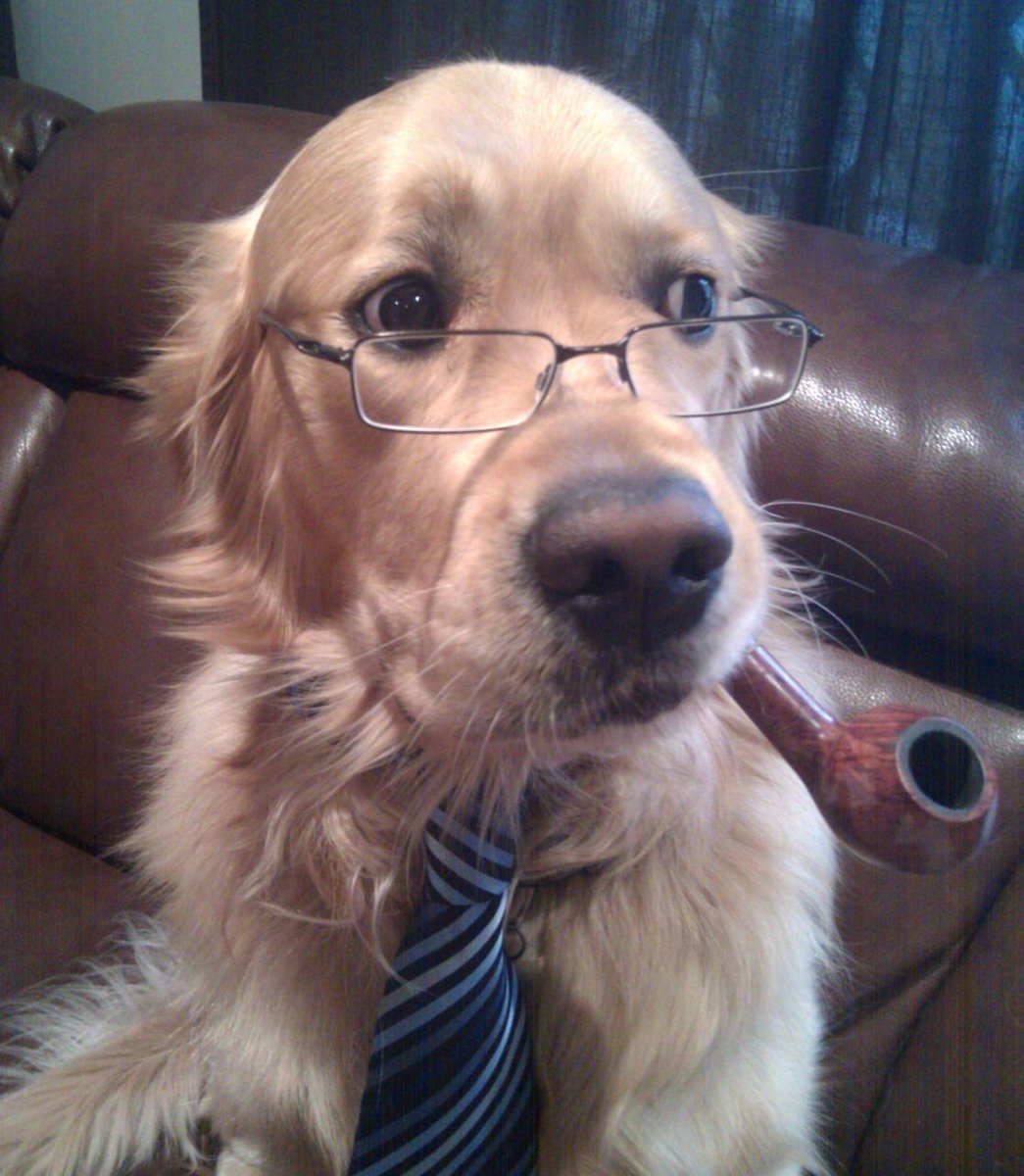 Kisame🍄 tweet media