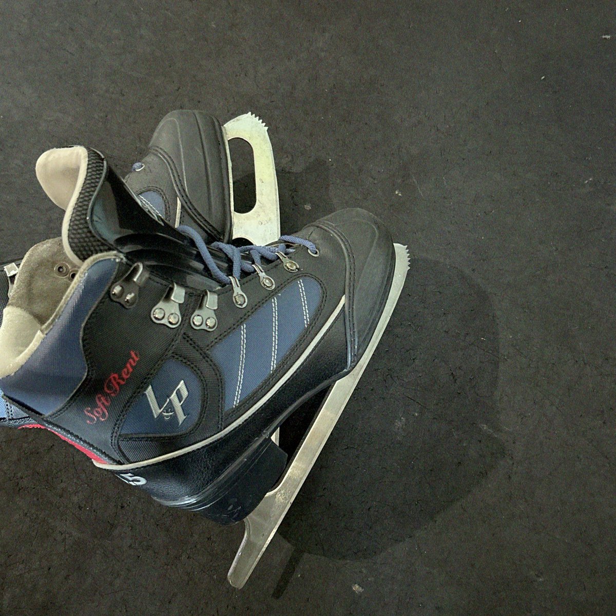 スネリ tweet media