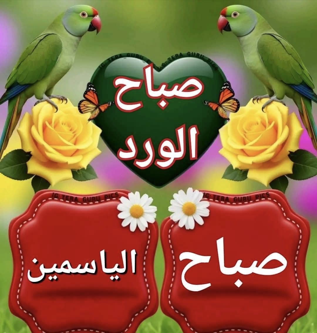 blayer_oman's tweet photo. @Zohreh1407 https://t.co/zNONSoEw0C
