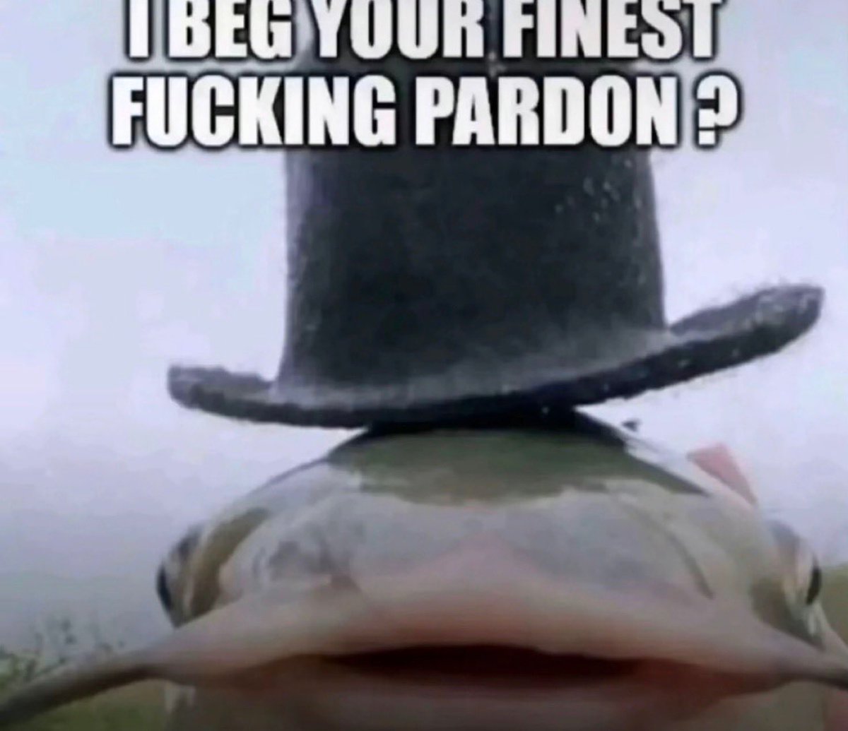 𝑀 𝒜 𝒞 𝐻 𝐼 𝒩 𝐸 . tweet media