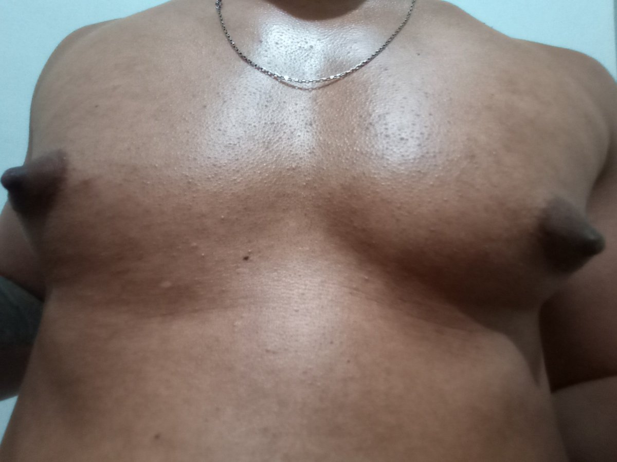 stud.pecs tweet media