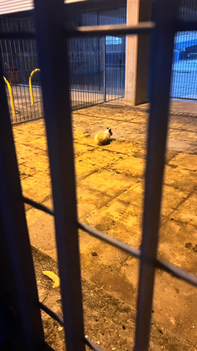 ︎ ︎ ︎ ︎ ︎ ︎ ︎ ︎ ︎ ︎sop tweet media