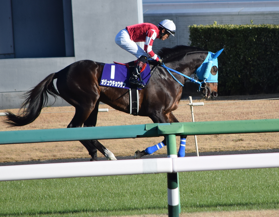 Nathaniel tweet media