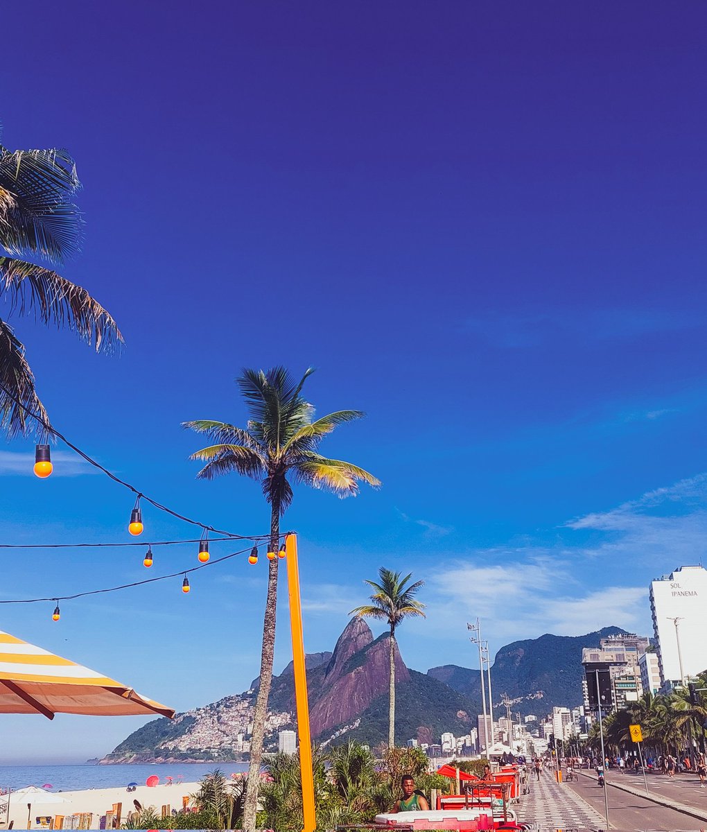 Jurídico Erika-sama ˚˖𓍢ִ໋❀ tweet media