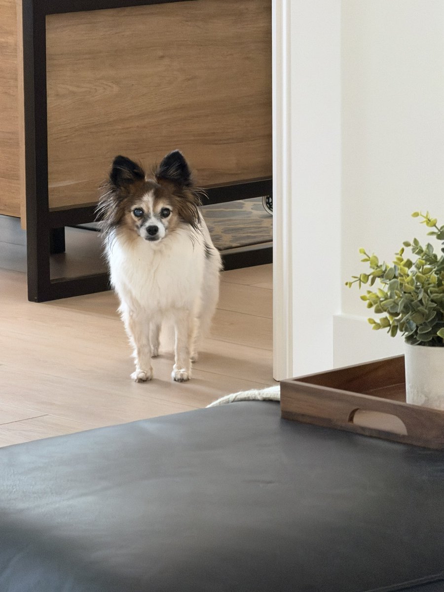 Brian Stone tweet media