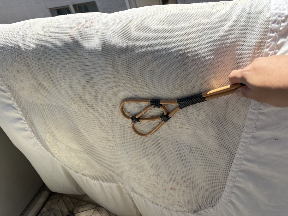 fami@4/18大阪 6/13北海道 tweet media