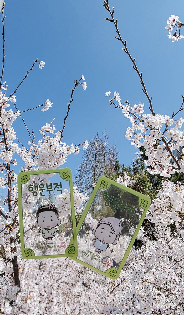 덕질뿅🕯️ tweet media