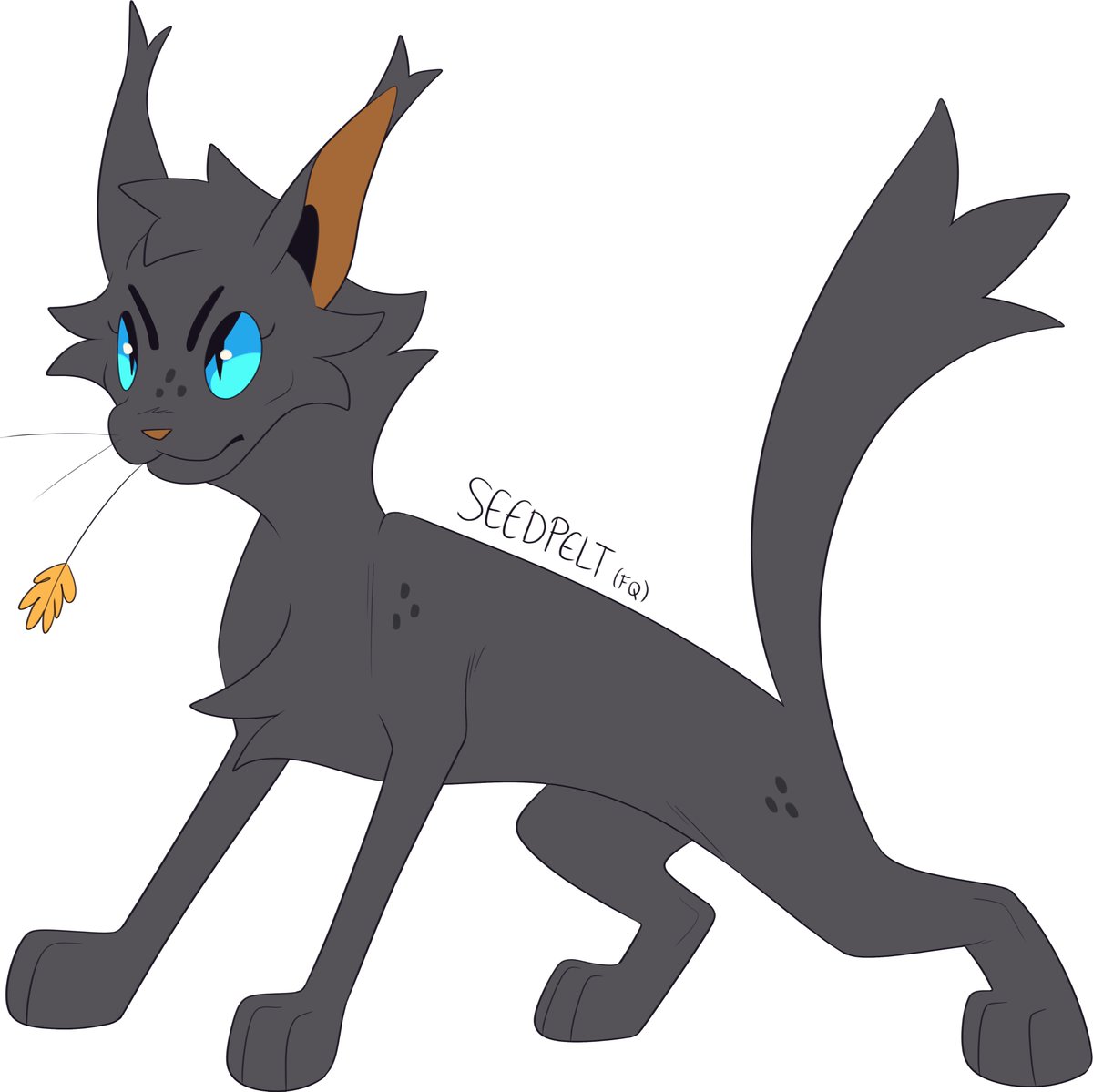 eviltweets725's tweet image. one day i will accurately communicate how off the wall insane i am about these two characters, one of whom has 3 lines and the other who is mentioned once postmortem and they have never spoken and as of stormclan dont even canonly live in the same era anymore