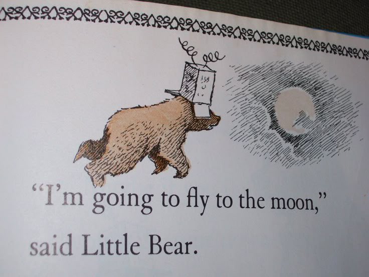 🌱 joey tweet media