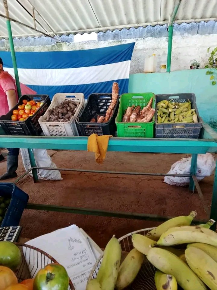 YaneisyO32304's tweet image. Mercado La terminal hoy Martes,brindado servicios a la población con variedad de ofertas para el pueblo Jagüeyense.
#MatancerosEnVictoria