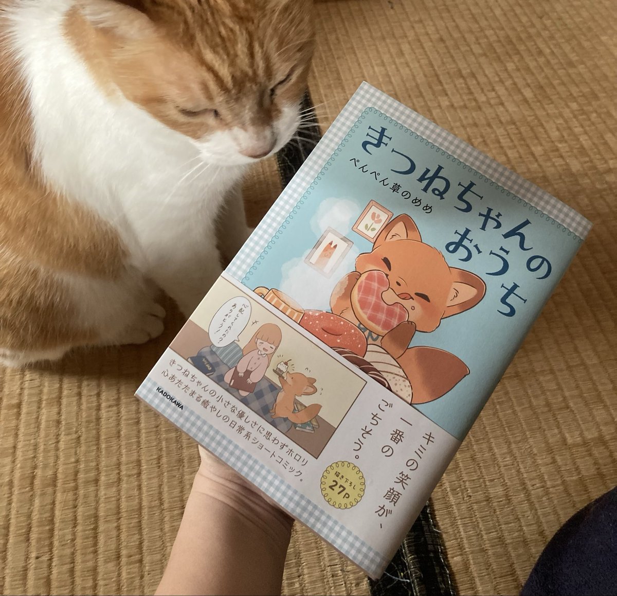 やーこ tweet media