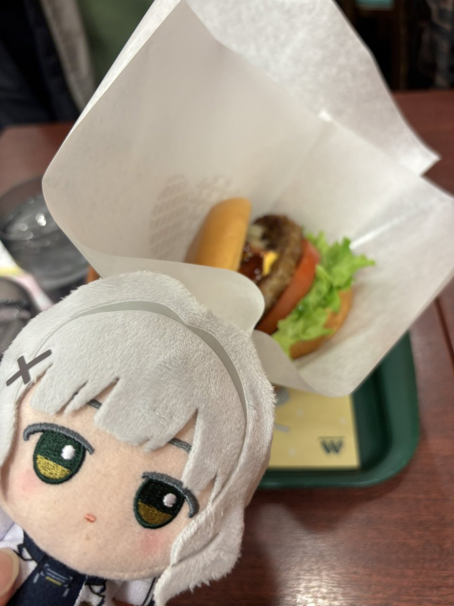 大生【ヴェリタス顧問】ハレ推しの先生 tweet media