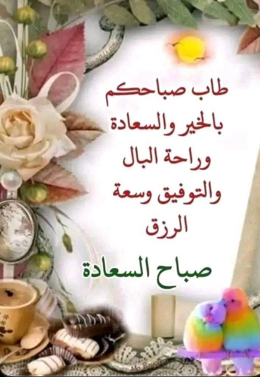 أبو ابرار tweet media