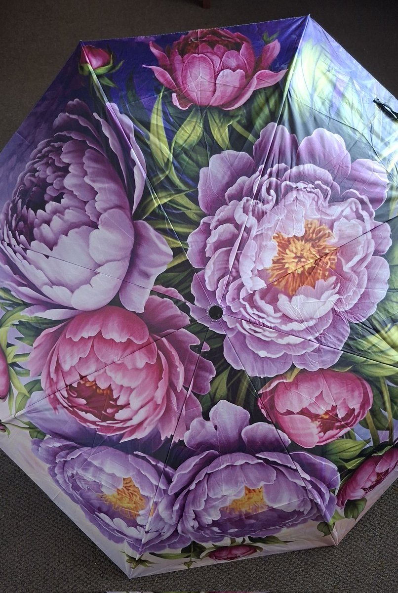 GabyLynch9's tweet image. Was really looking forward to getting my new phone case. It's too small 😭 Umbrella's alright but. #SimpleThings 😄