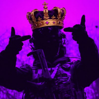 King Void tweet media