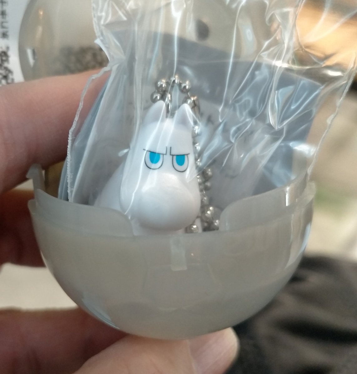 いんこゆかり。 tweet media