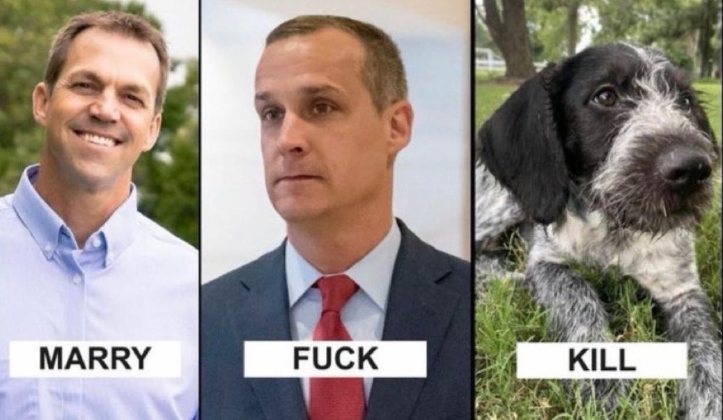 Roger Stone tweet media