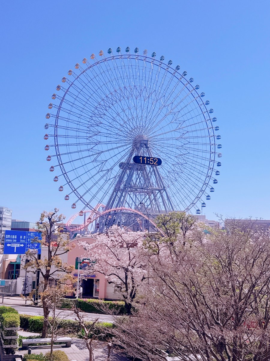 桜まだ生きてた！！
みなとみらい🎡(っ ॑꒳ ॑c)ﾏｯ