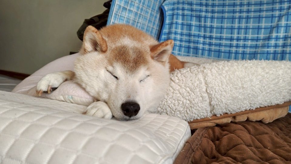 ヤマさん tweet media