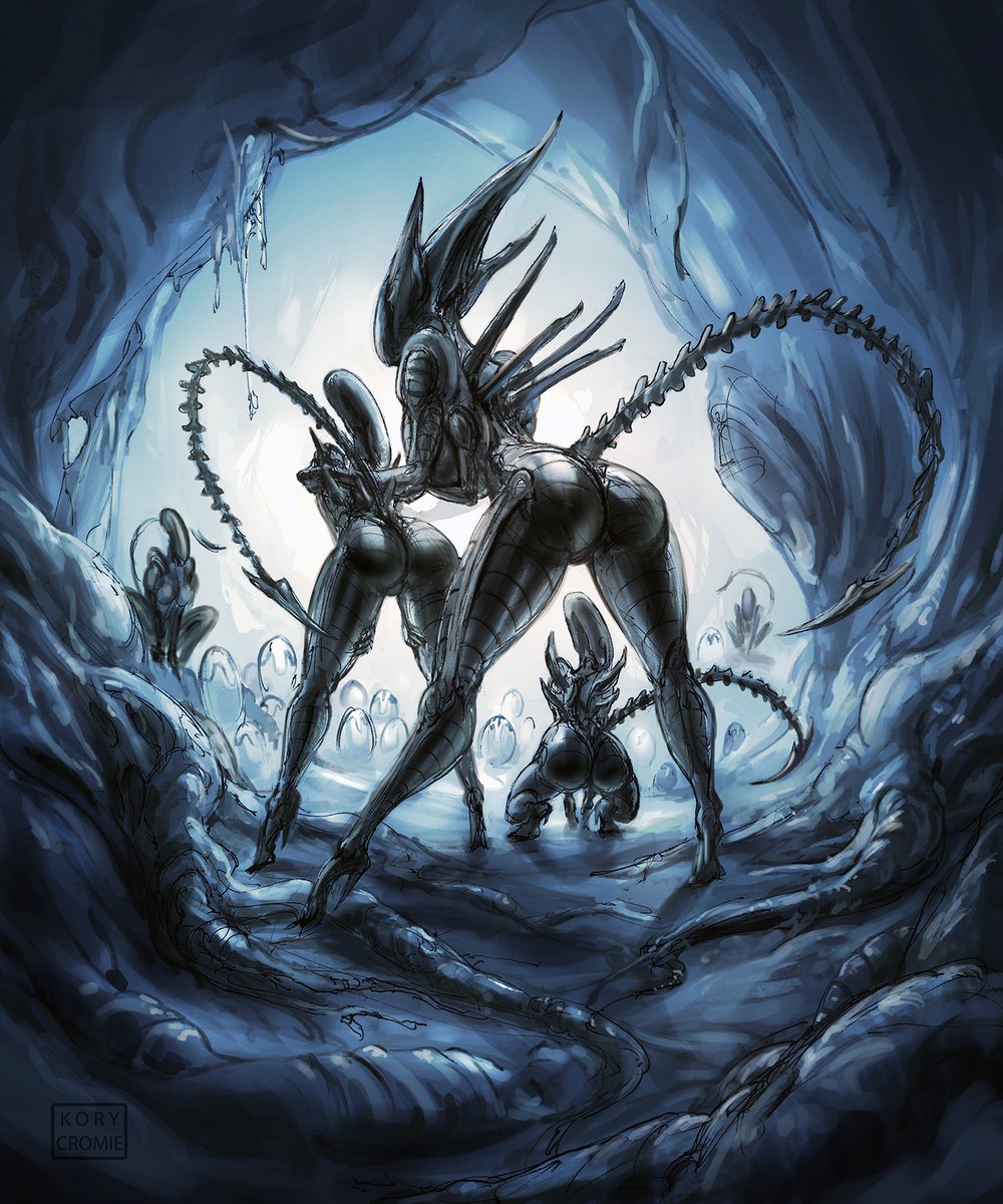 Kory Cromie tweet media