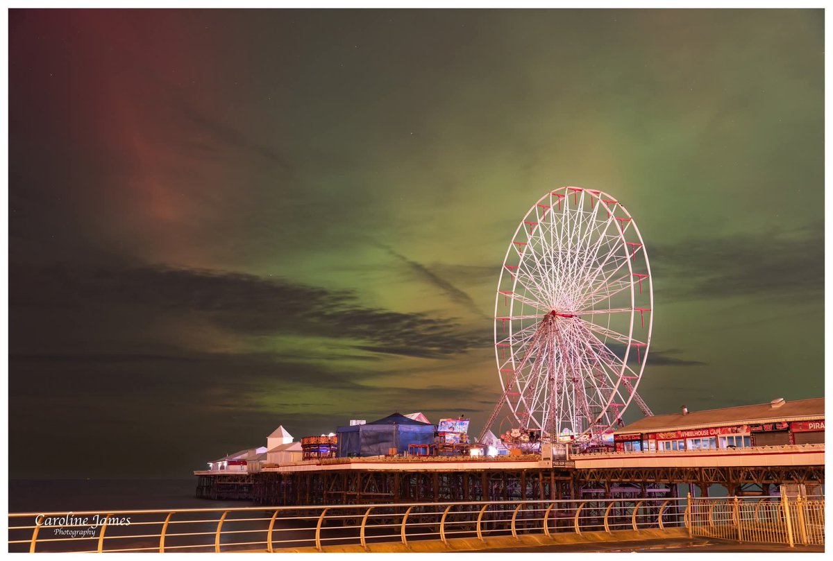 Caroline James Photography tweet media