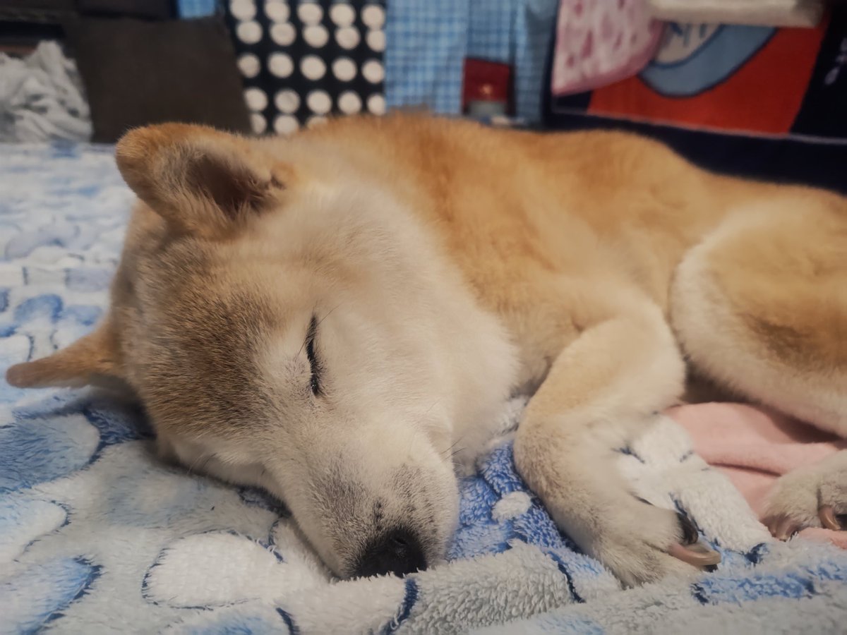 ヤマさん tweet media