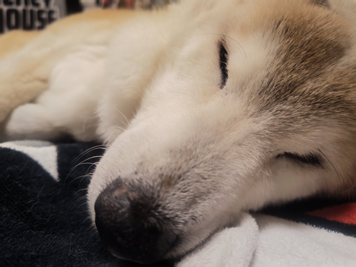 ヤマさん tweet media