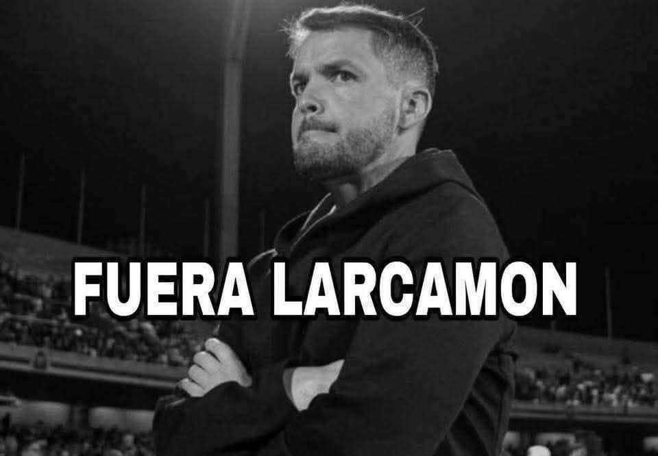 Alexander tweet media