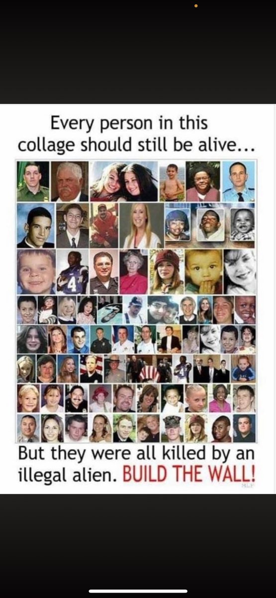 BullFighter tweet media