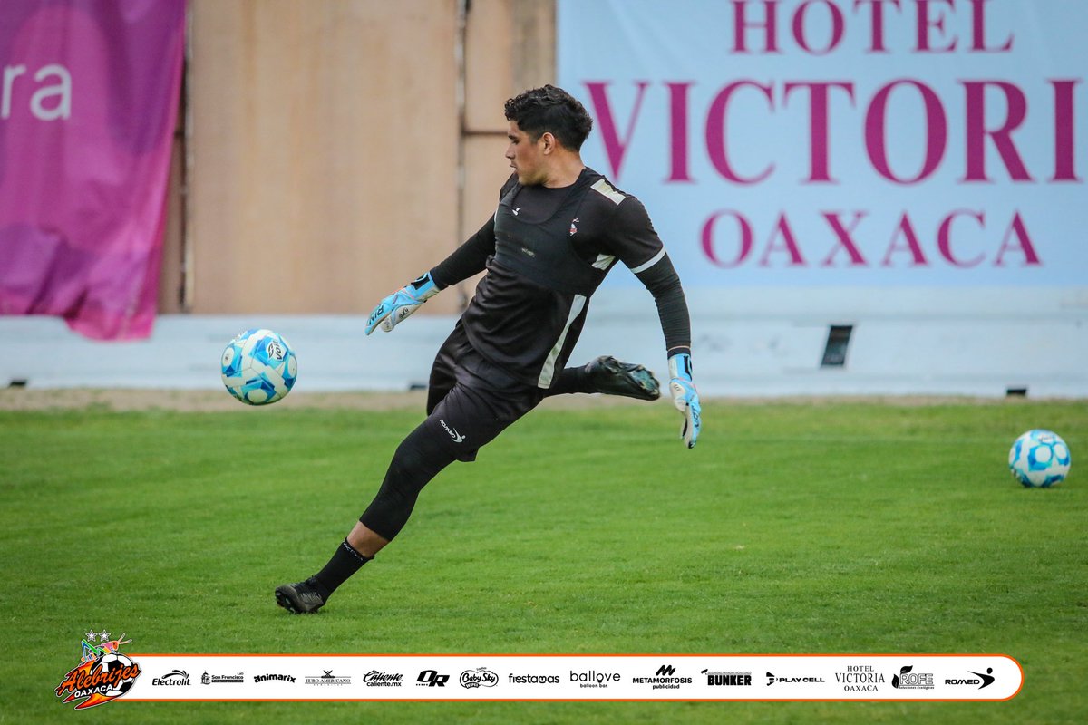 Alebrijes Oaxaca tweet media