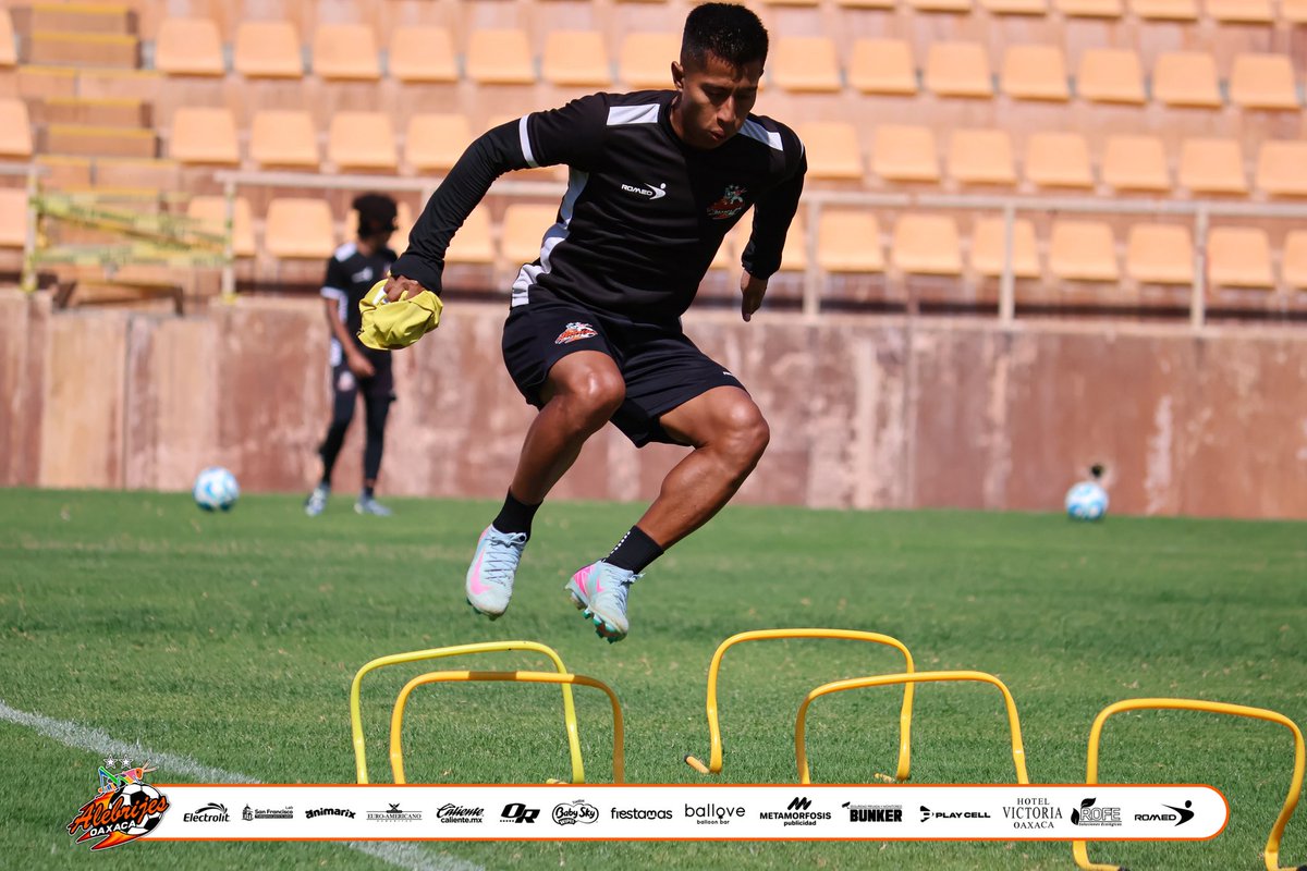 Alebrijes Oaxaca tweet media