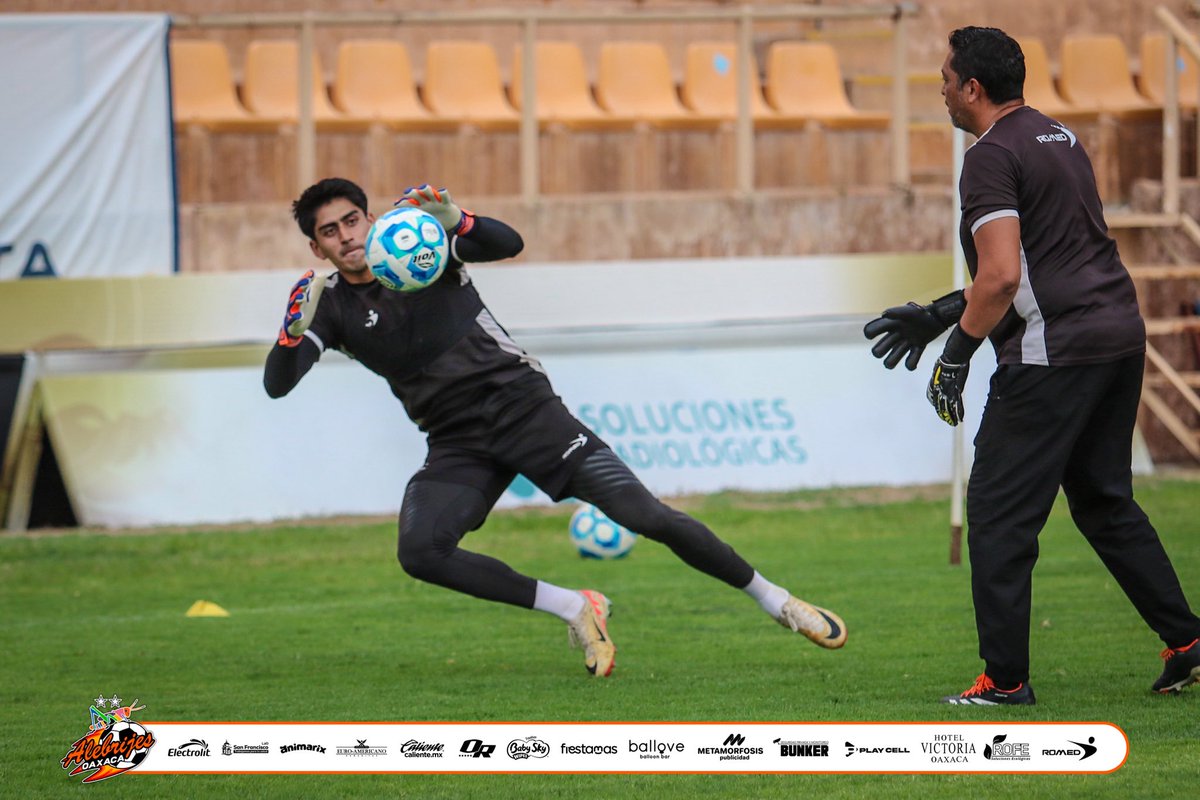 Alebrijes Oaxaca tweet media