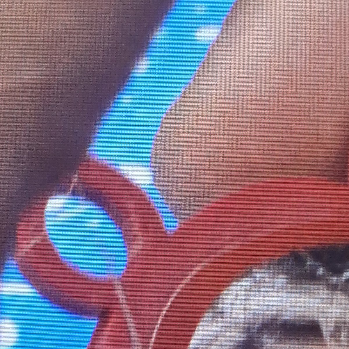 🇵🇸| Carol Jurídico Neen tweet media