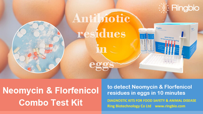 Ringbiotests's tweet photo. #Ringbio’s Egg #Neomycin &amp; #Florfenicol Combo Test Kit utilizes the high affinity of monoclonal antibody against Neomycin &amp; Florfenicol, which can identify them in #eggs in 10min. The detection limit of the kit can meet #EU and #USA #MRLs. 

Check here, https://t.co/VtD588AXIT https://t.co/C3i4Scozev