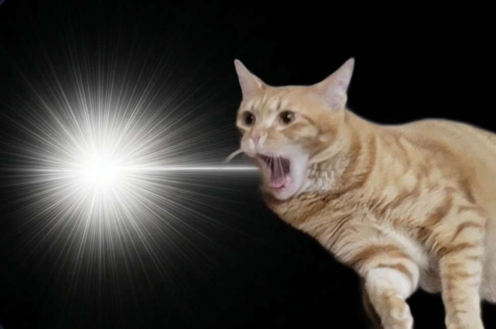 むつこ🥔 tweet media