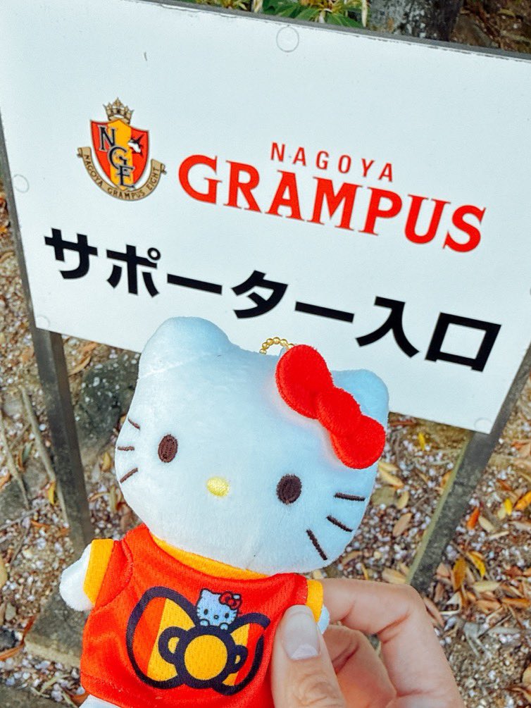 ﾟ+☆･ωpびーぬq) tweet media