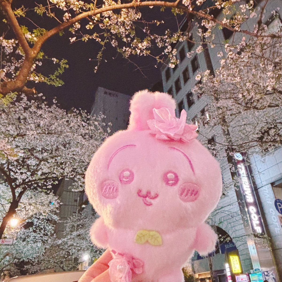 うさまん tweet media