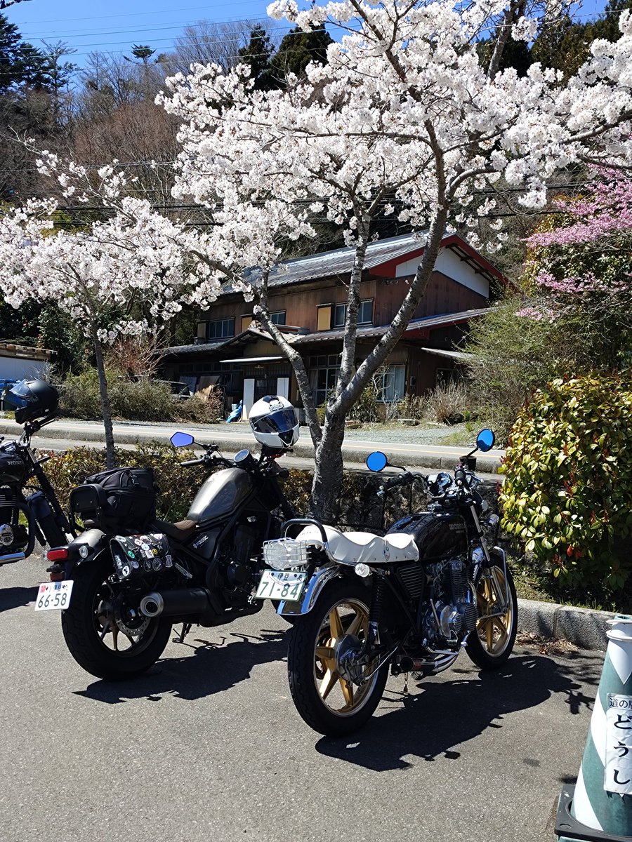 川村はっちゃんまま@バイクの事は何ひとつわかりませんなアポロ児 tweet media
