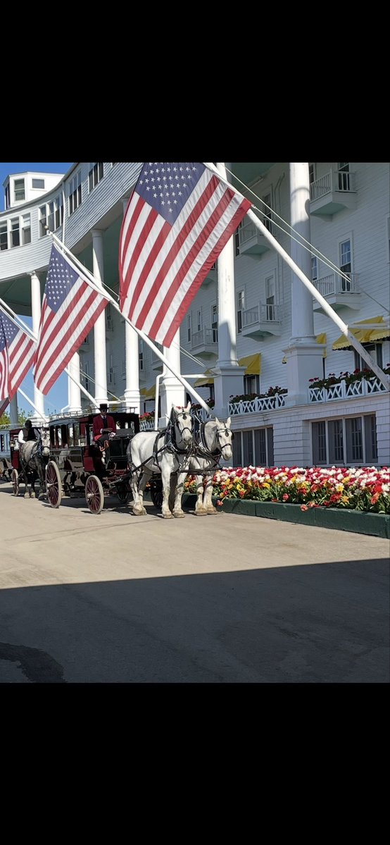 Doctor taco rules! tweet media