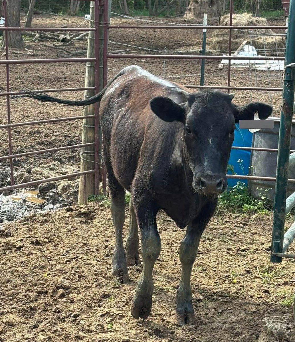 This isn’t the world our parents gave us tweet media