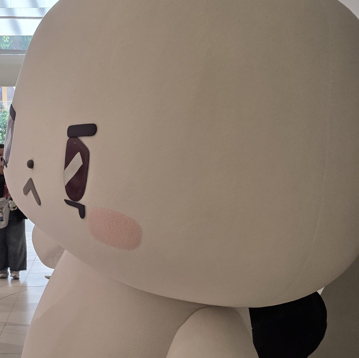 꾸냐꼬 tweet media