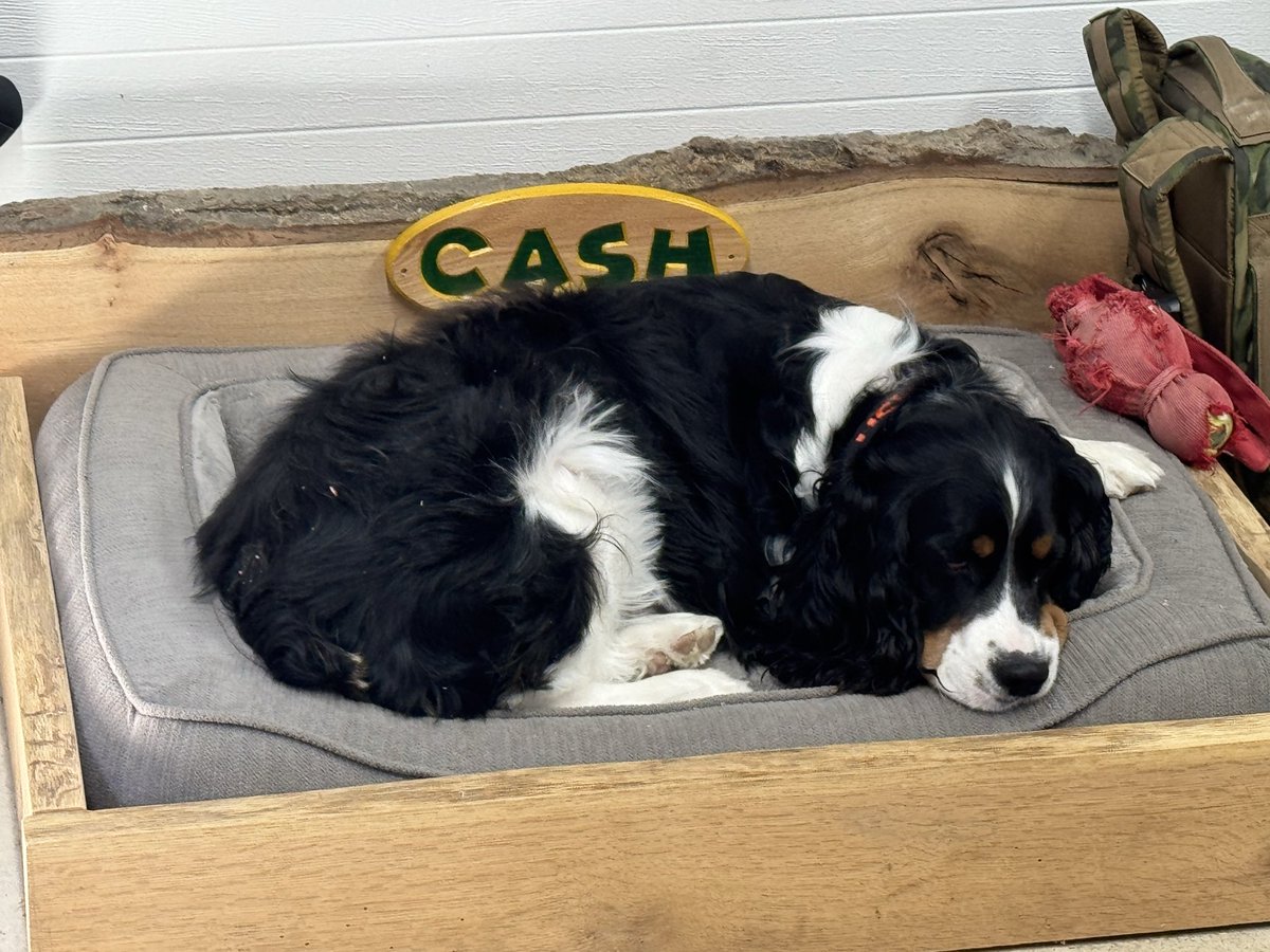 Warrior_Works_'s tweet photo. Shop hound hard at work… https://t.co/h9L4ydvpog