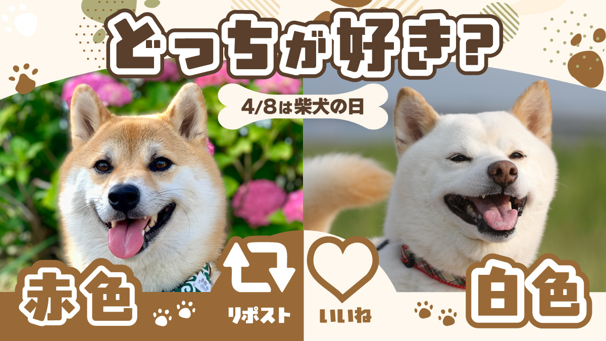 マツキヨココカラ tweet media