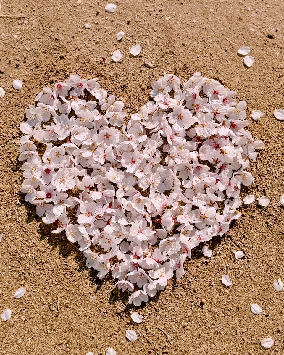 해피데이- 엄마, 사랑해...편히 쉬어. tweet media