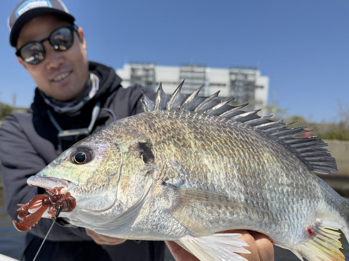 黒田 健史 tweet media