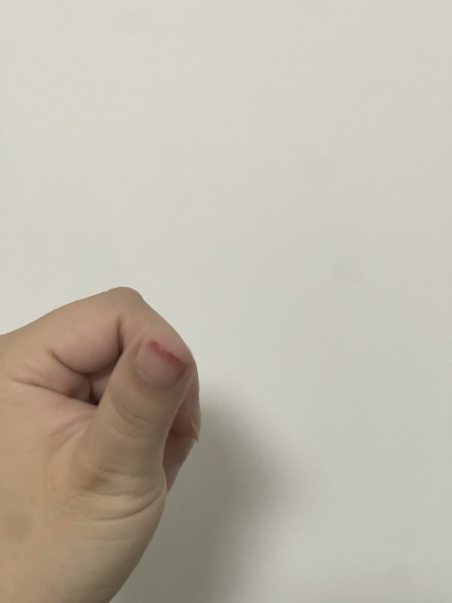 秋刀鱼🐟 tweet media