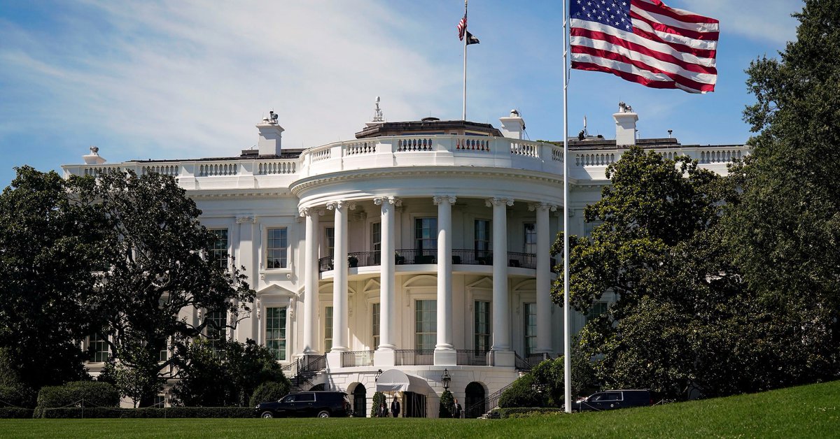 ShibaAlertEN tweet media