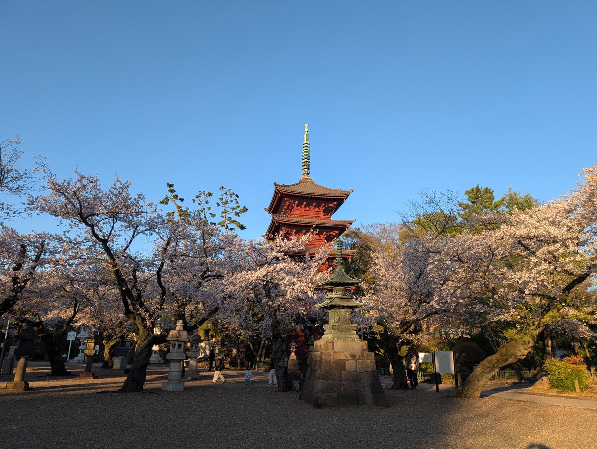 未宇。2/28みかちゃんソロデビューライブRADSEVEN tweet media