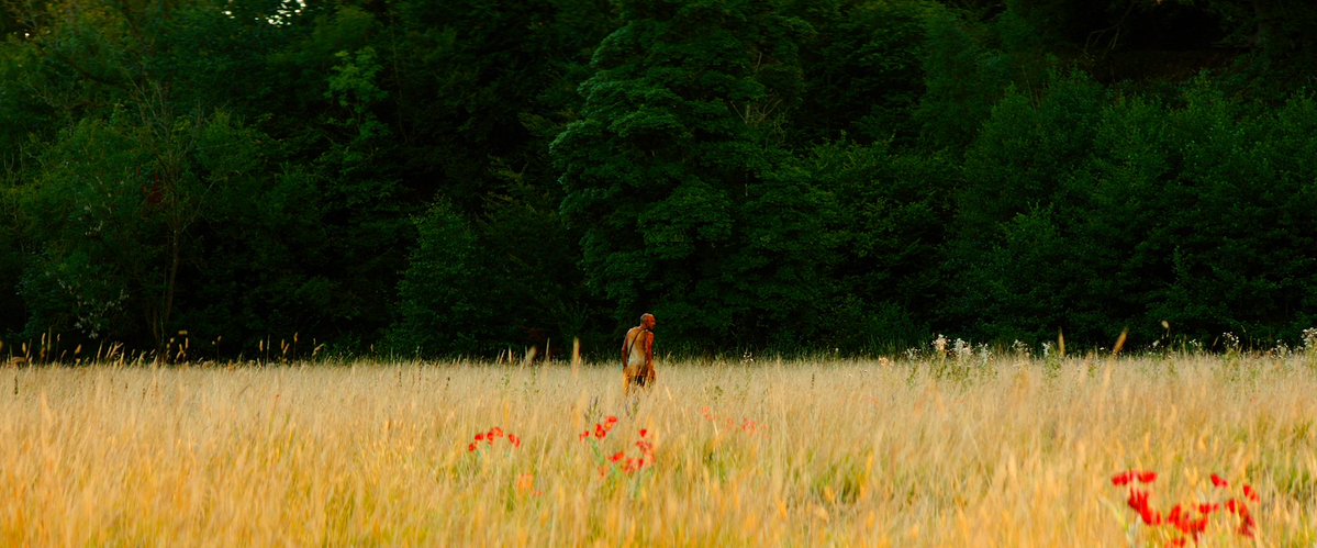 Puck #boxdboi tweet media