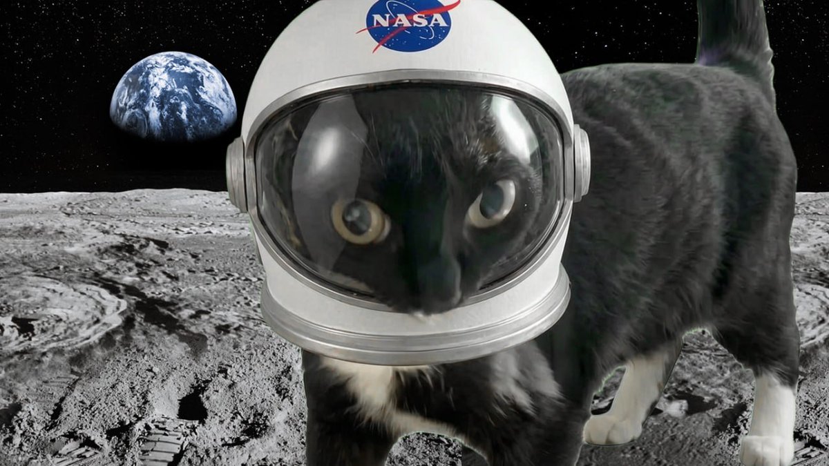 XanaCatMod's tweet photo. @NASA https://t.co/8nLd1fiWb2